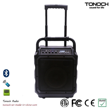 8 Inches Portable Consumer Loudspeaker with Bluetooth and Battery